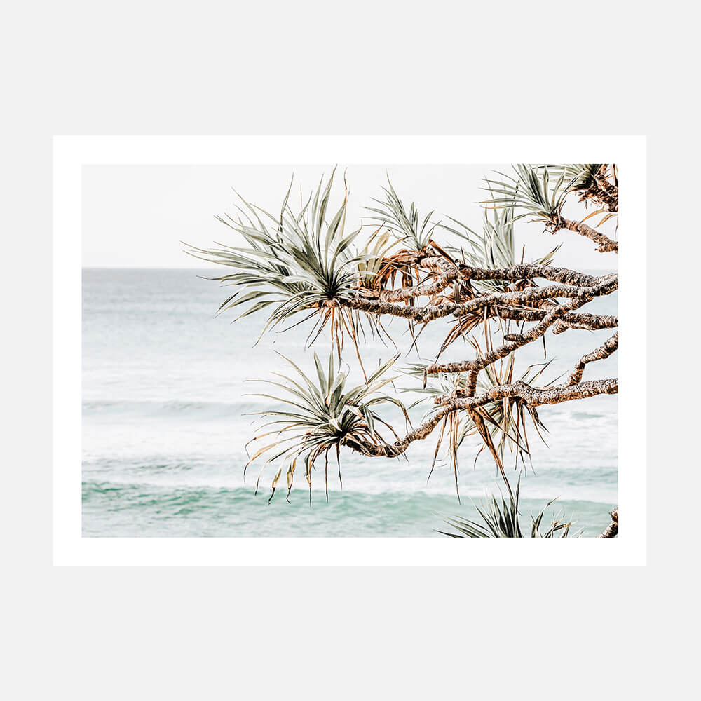 A photo print featuring a Pandanus tree with a view of the ocean in the background, capturing a coastal scene.