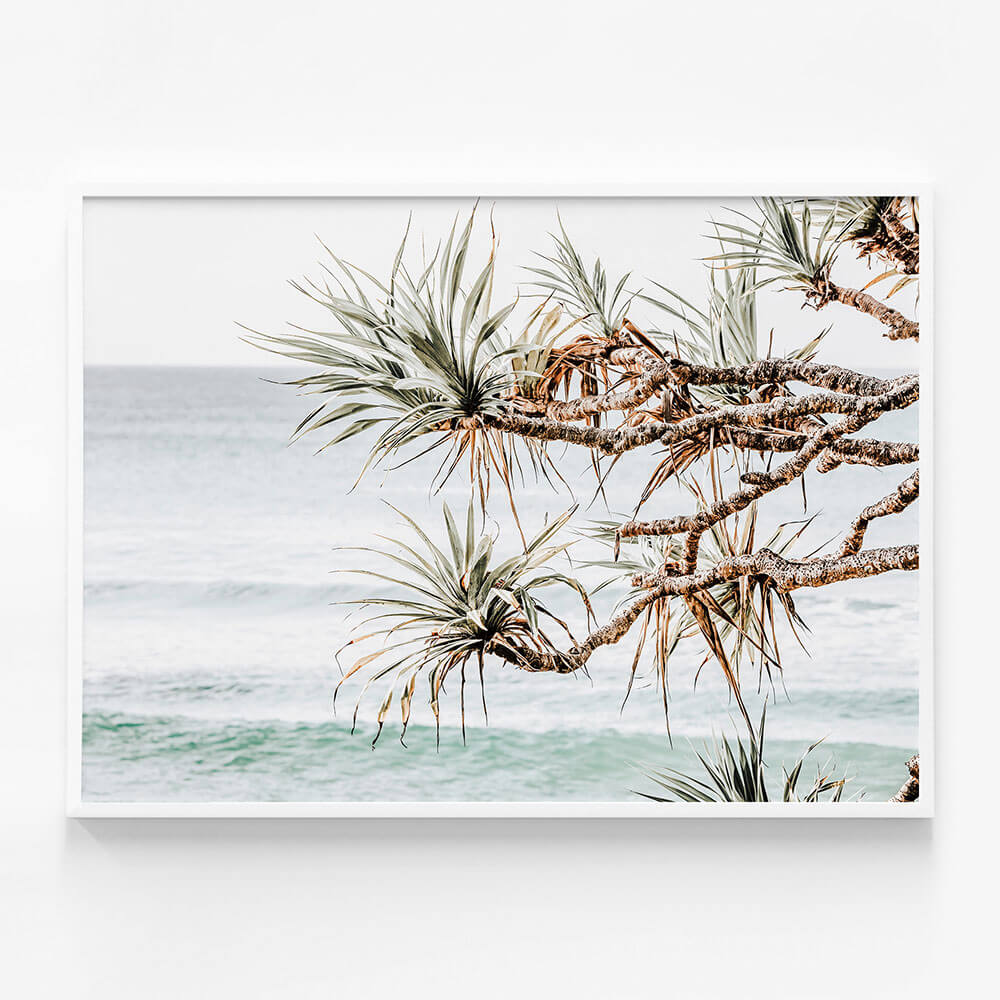 Pandanus View