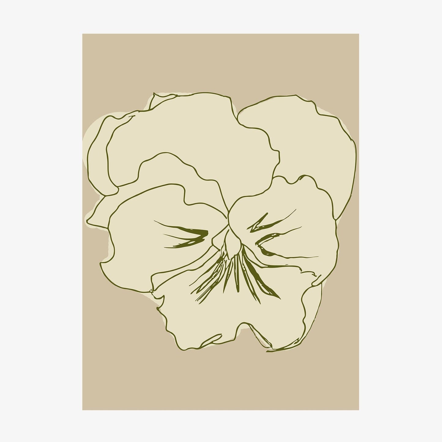 Pansy Lines