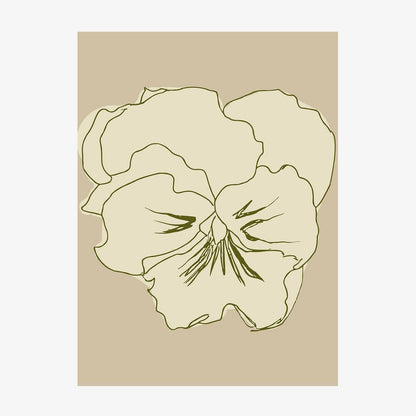 Pansy Lines