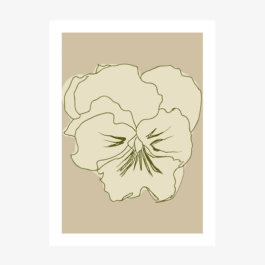 Pansy Lines wall art print