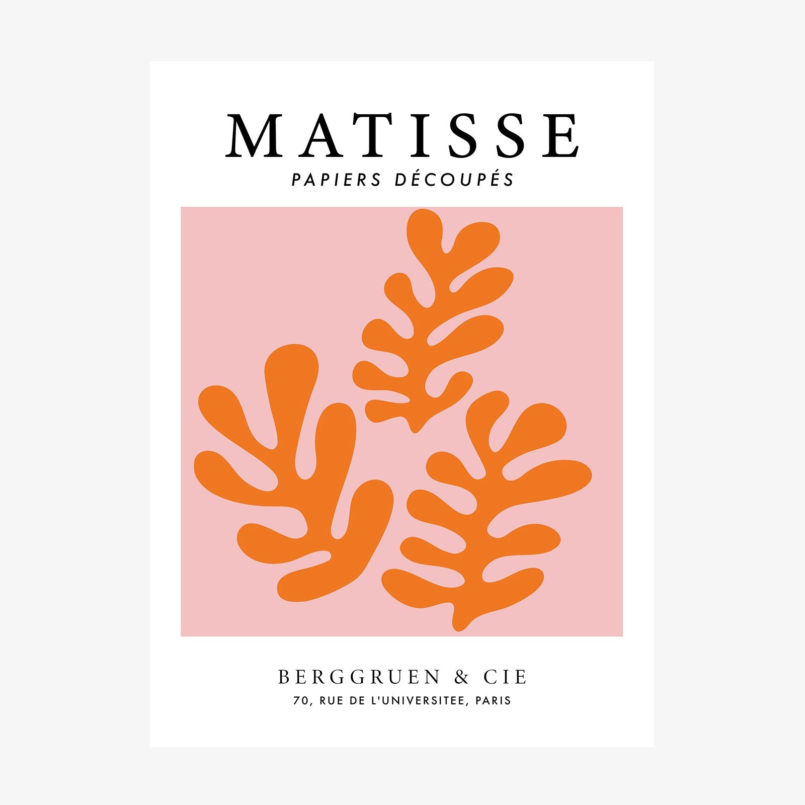 Papiers Decoupes No. 13 wall art print