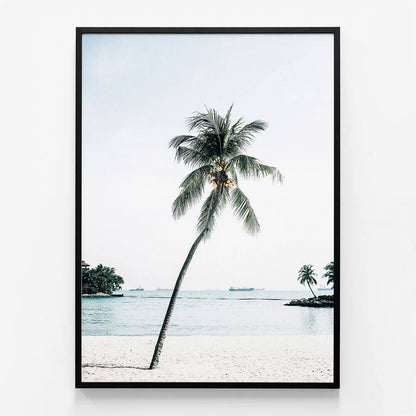 Paradise Palm Tree
