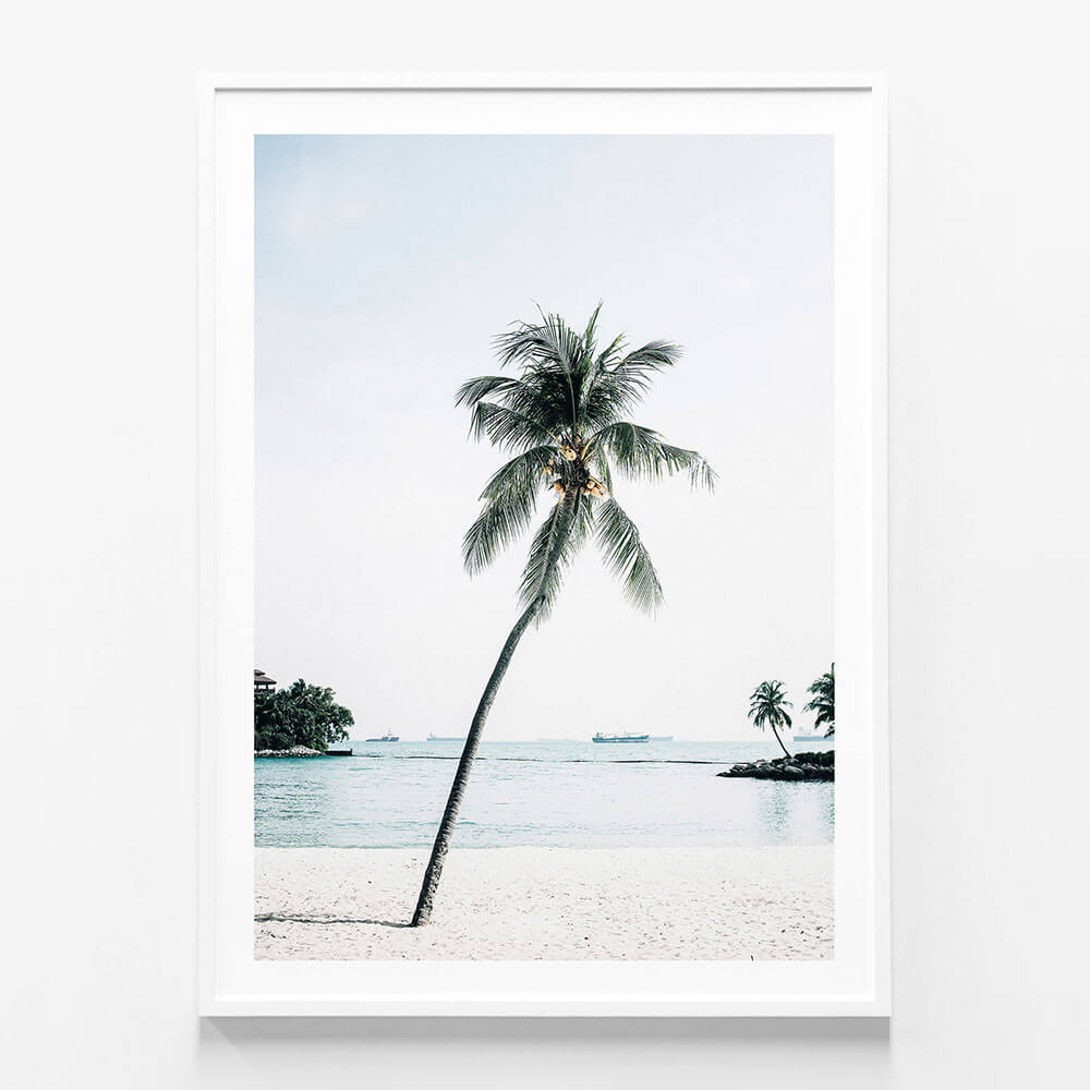 Paradise Palm Tree | Poster, Framed Art Print or Canvas | 41 Orchard