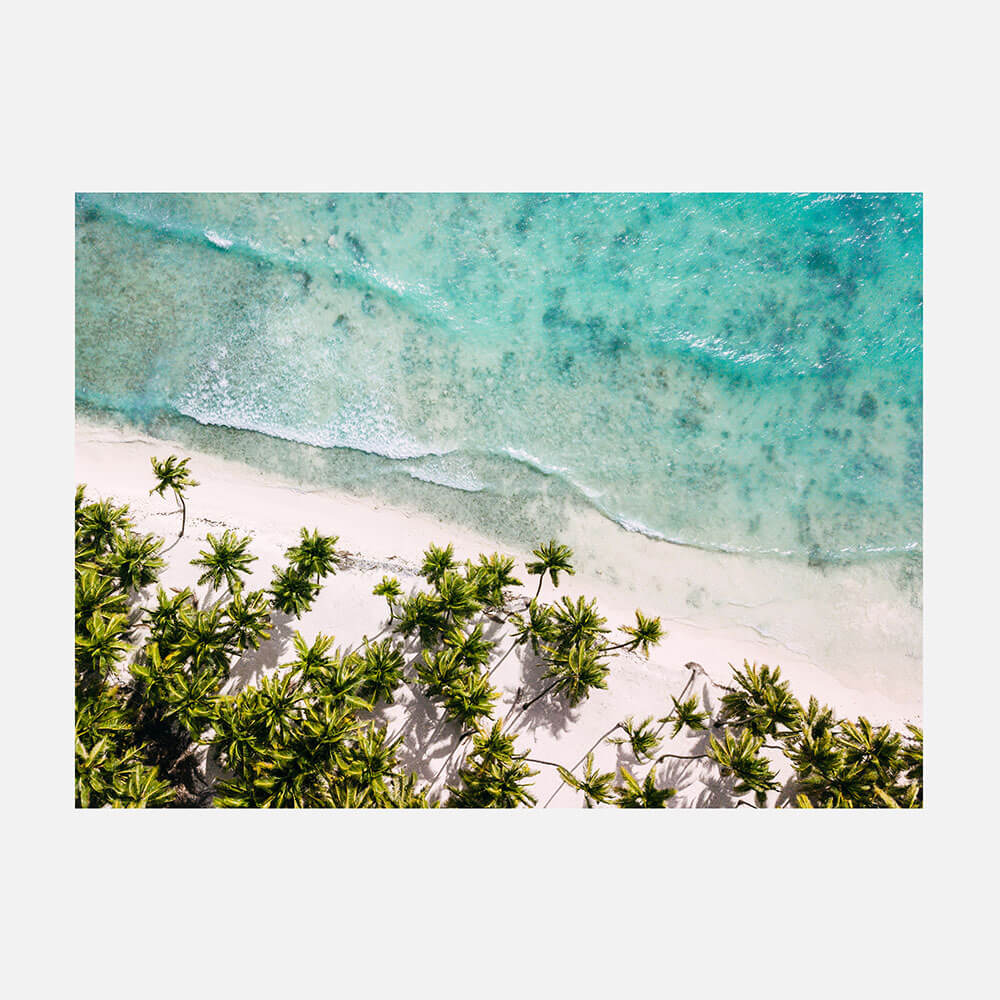 Paradise