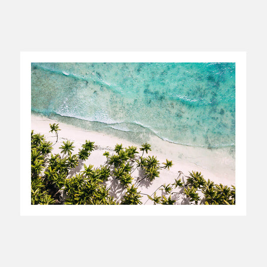 Paradise