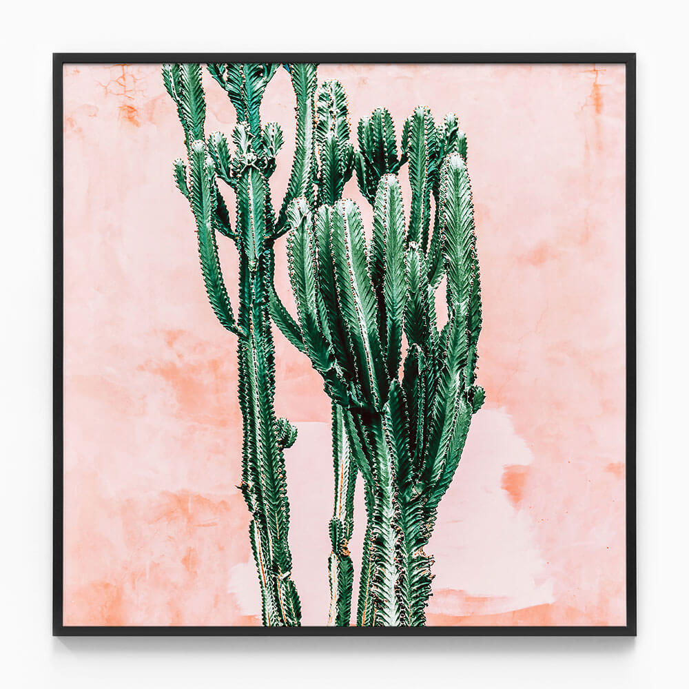 Pastel Cacti No. 2