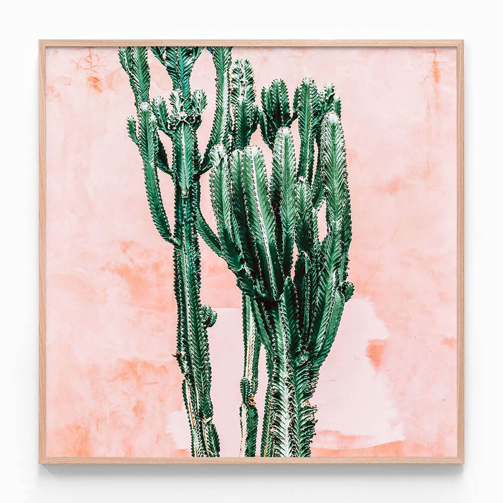 Pastel Cacti No. 2