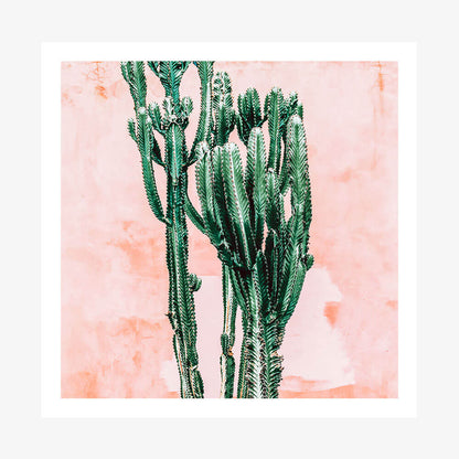 Pastel Cacti No. 2