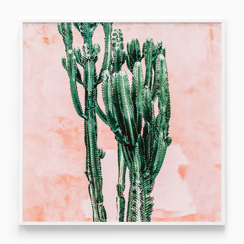 Pastel Cacti No. 2