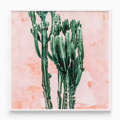 Pastel Cacti No. 2