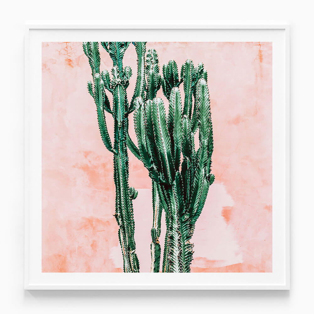 Pastel Cacti No. 2
