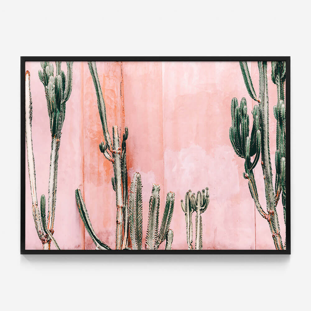 Pastel Cacti