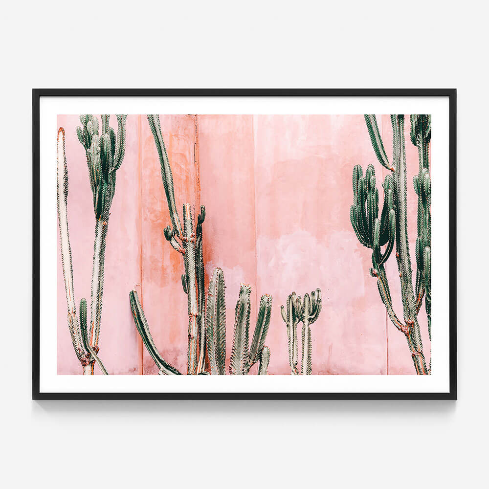 Pastel Cacti