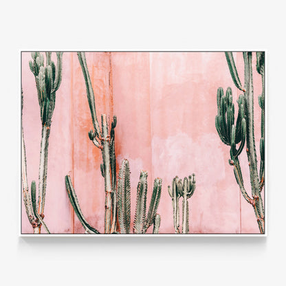 Pastel Cacti Canvas
