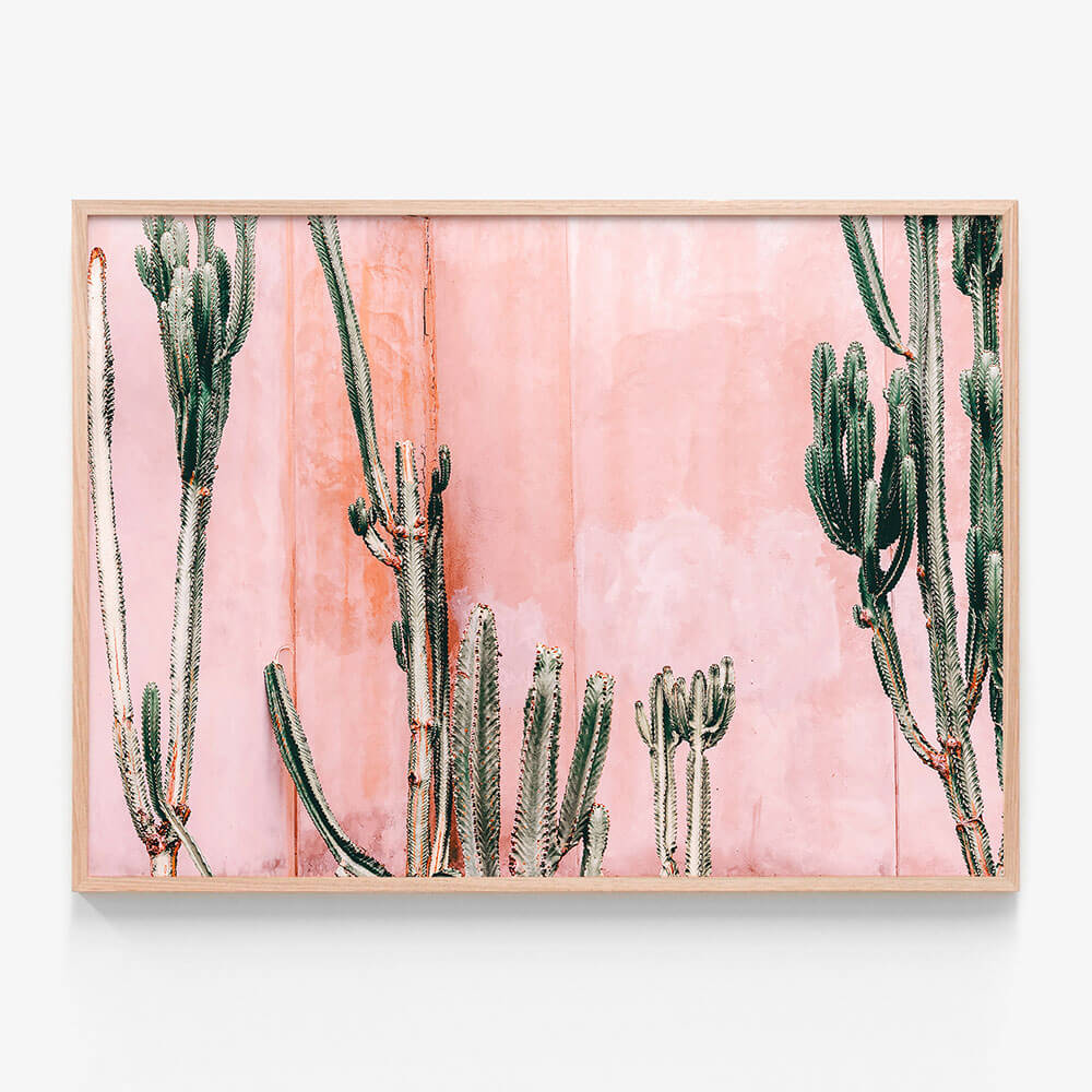 Pastel Cacti