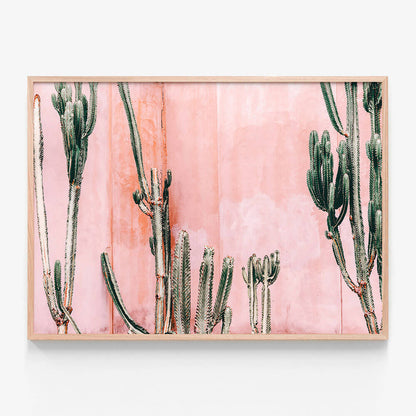 Pastel Cacti