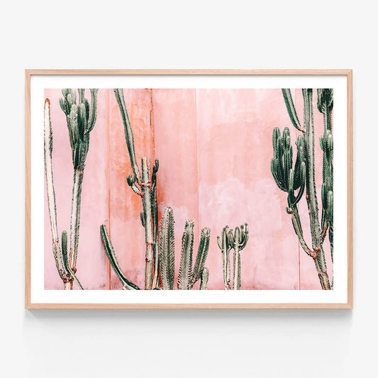 Pastel Cacti