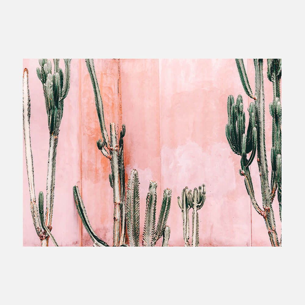 Pastel Cacti