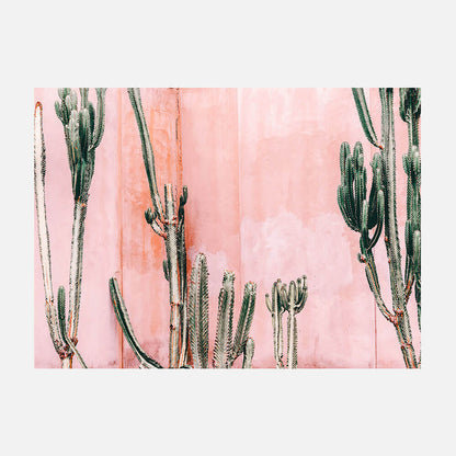 Pastel Cacti