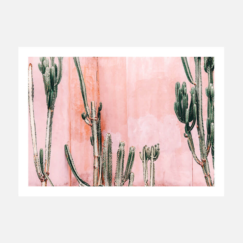 Pastel Cacti