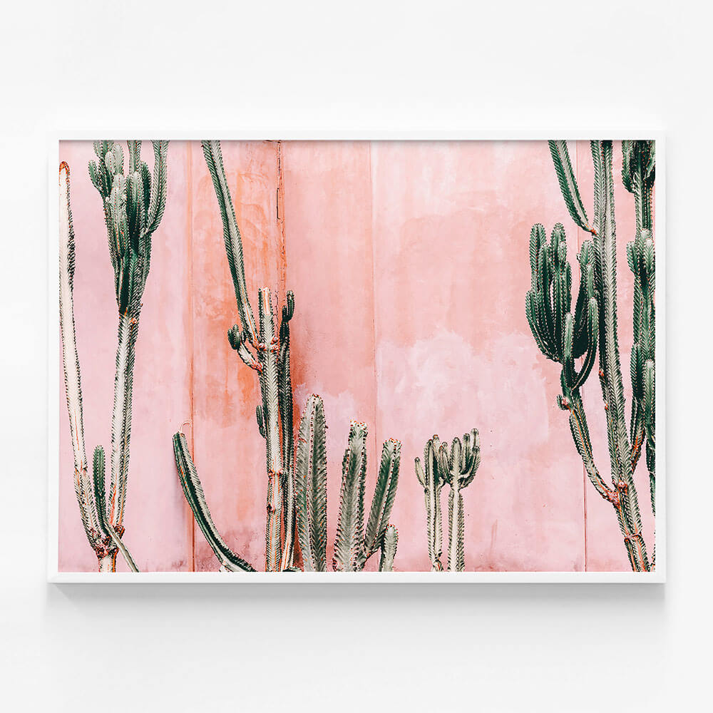 Pastel Cacti