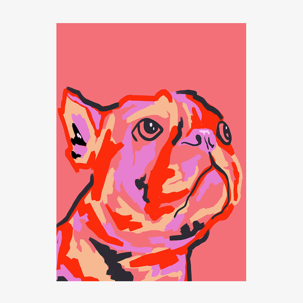 Pawsitively Patched
