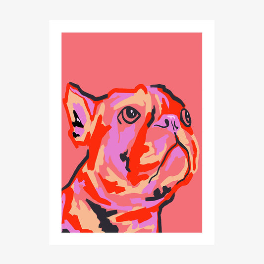 Pawsitively Patched