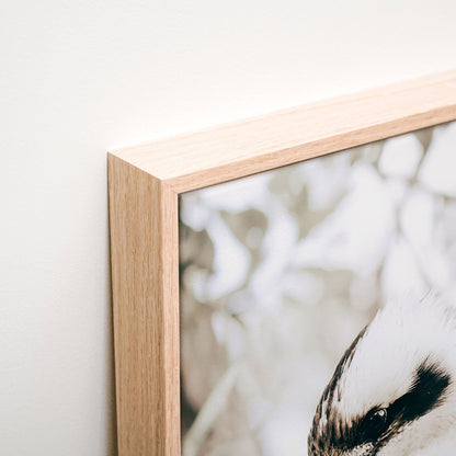 Perching Kookaburra Canvas wall art corner detail