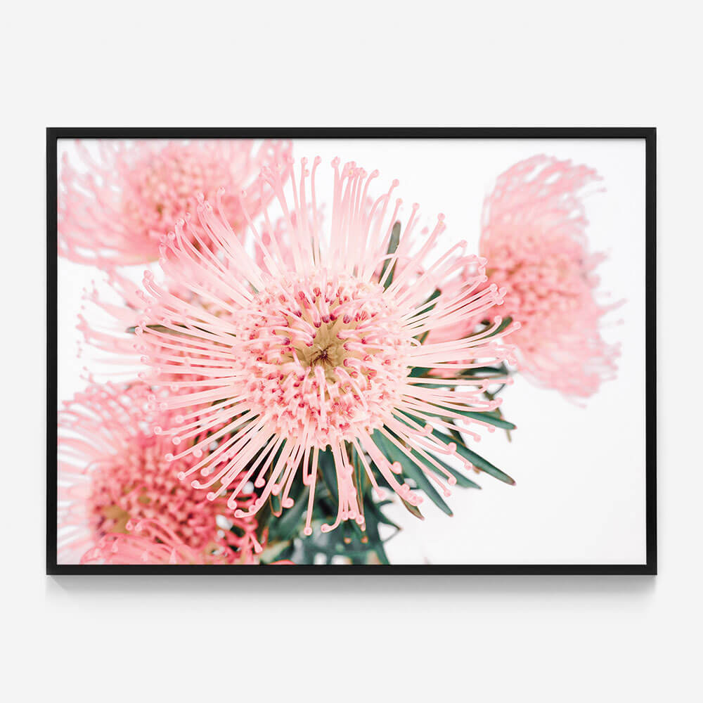 Pincushion