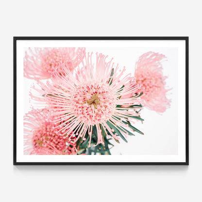 Pincushion