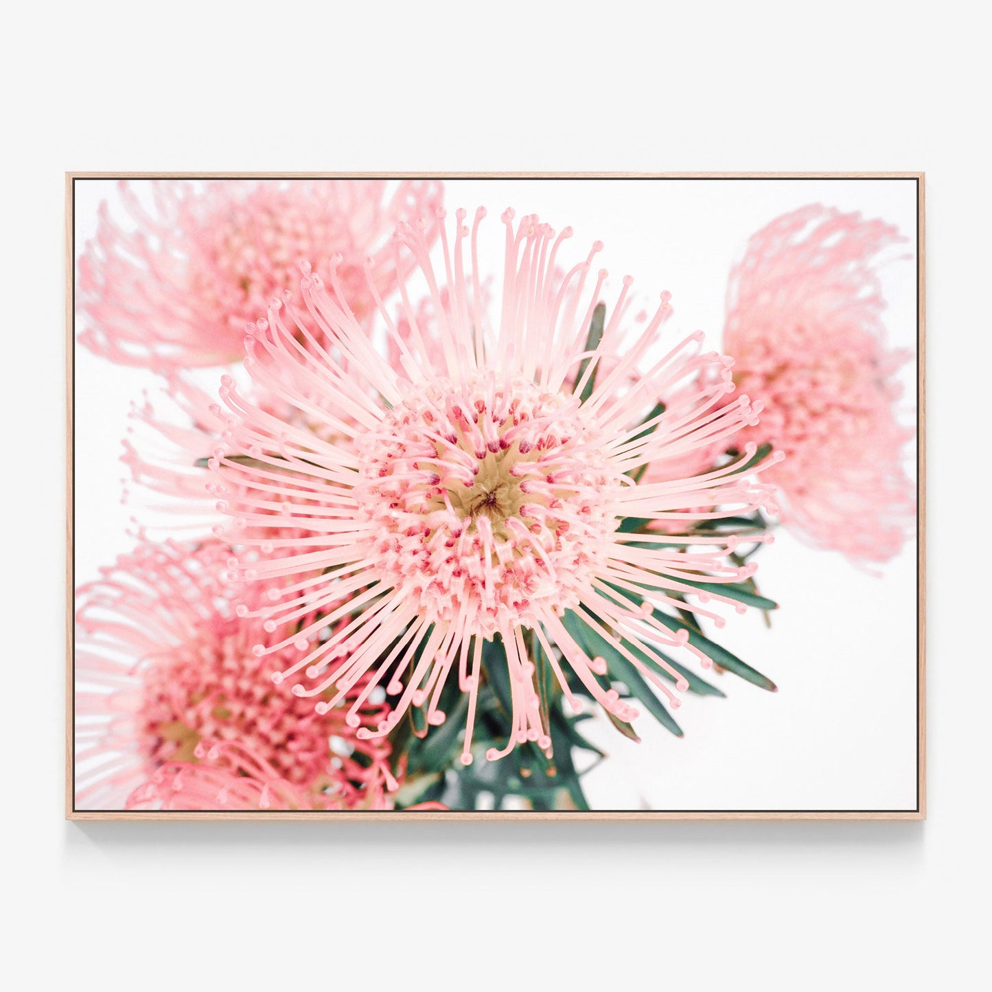 Pincushion Canvas wall art with oak float frame