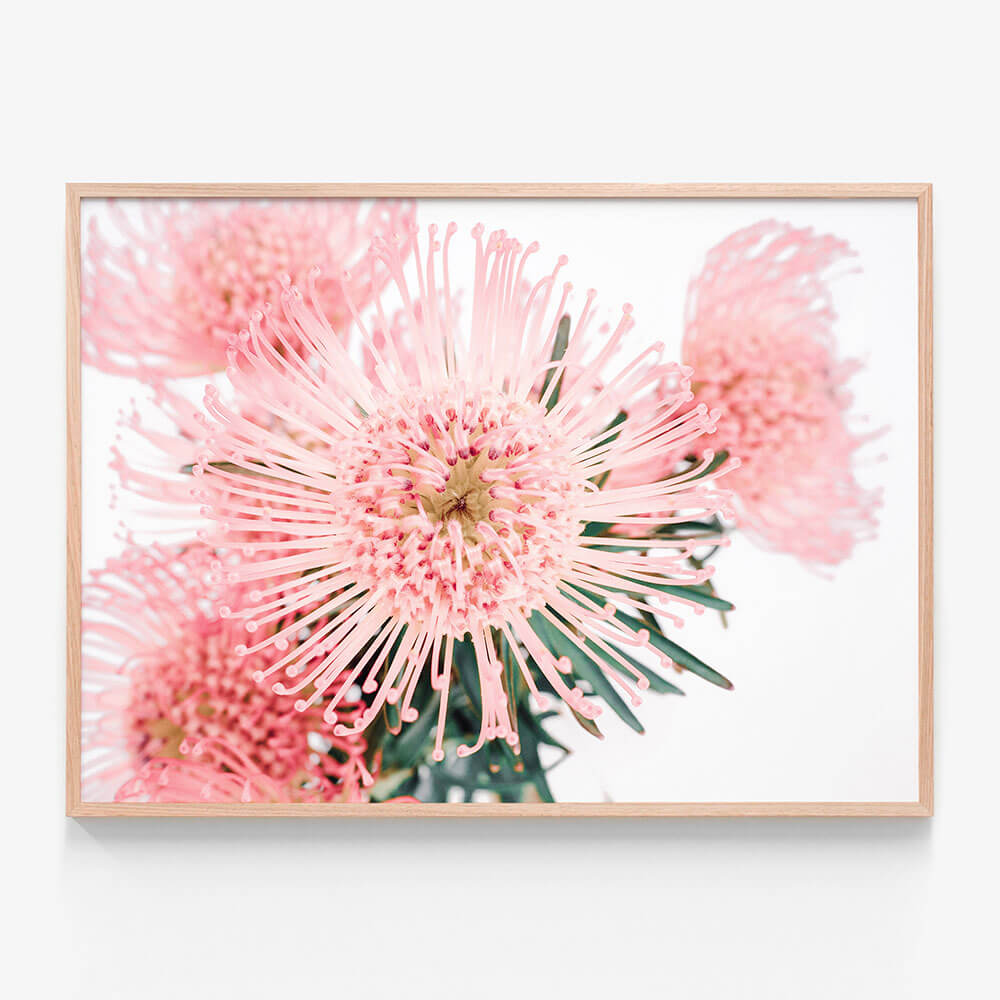 Pincushion