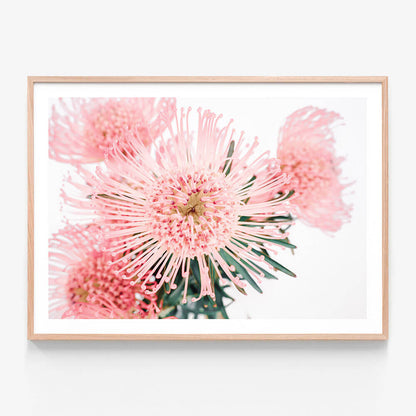 Pincushion