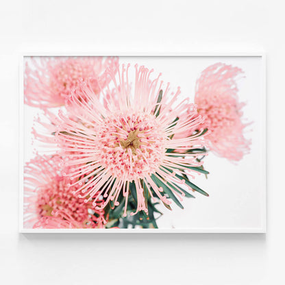 Pincushion