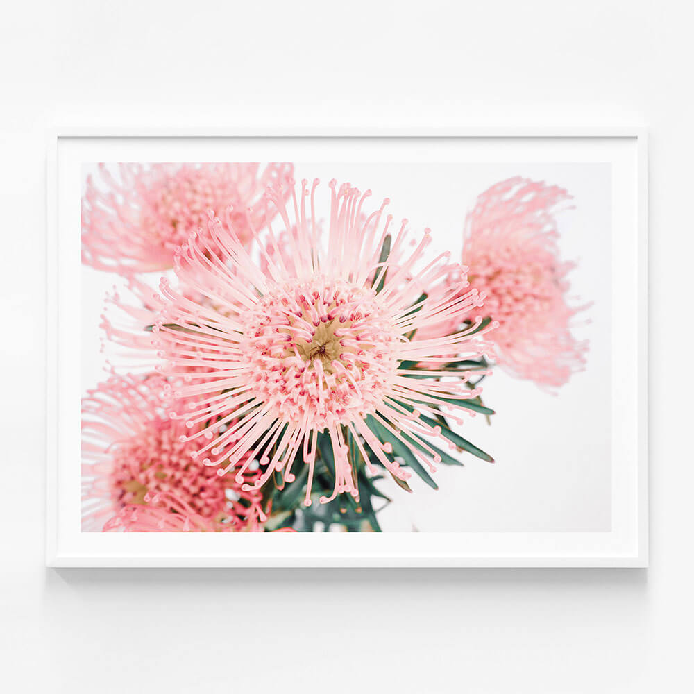 Pincushion