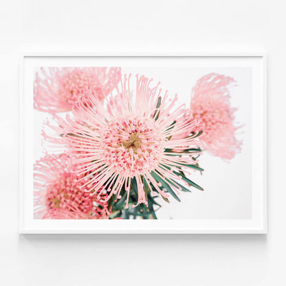 Pincushion