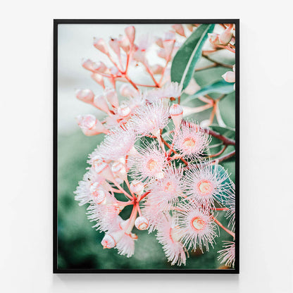 Pink Blossoms