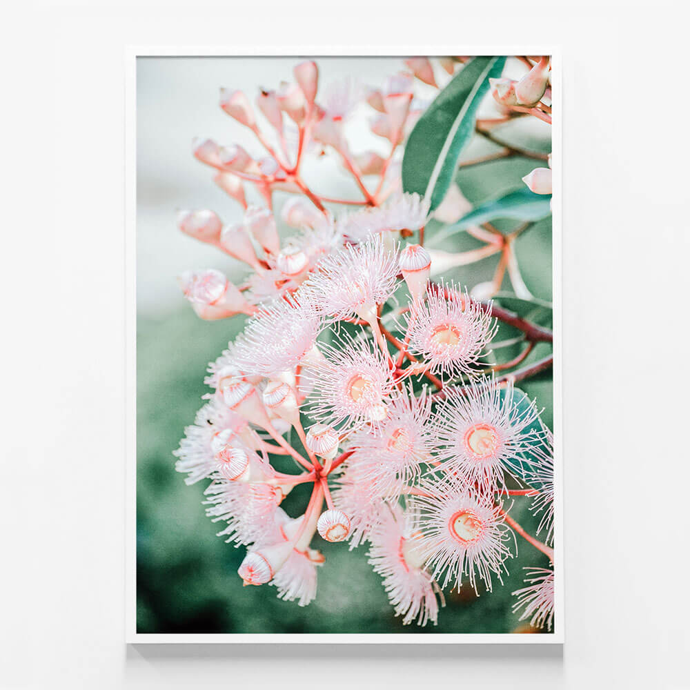 Pink Blossoms