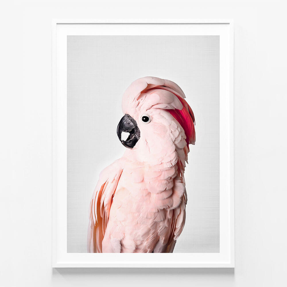 Pink Cockatoo