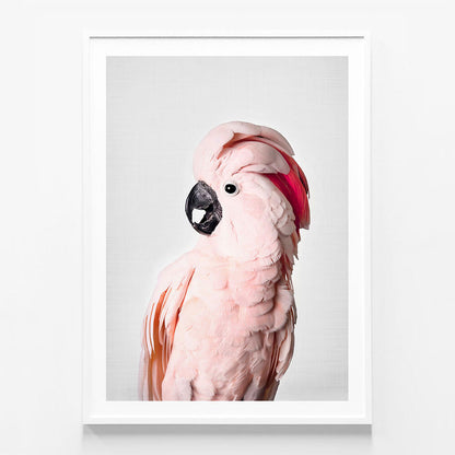 Pink Cockatoo