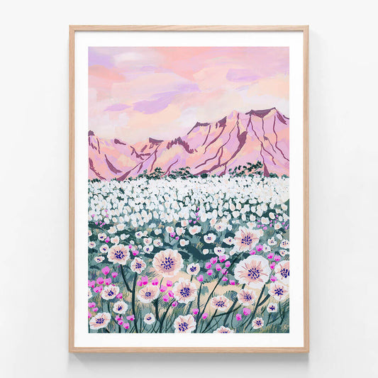 Pink Desert