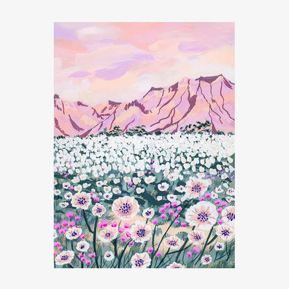 Pink Desert