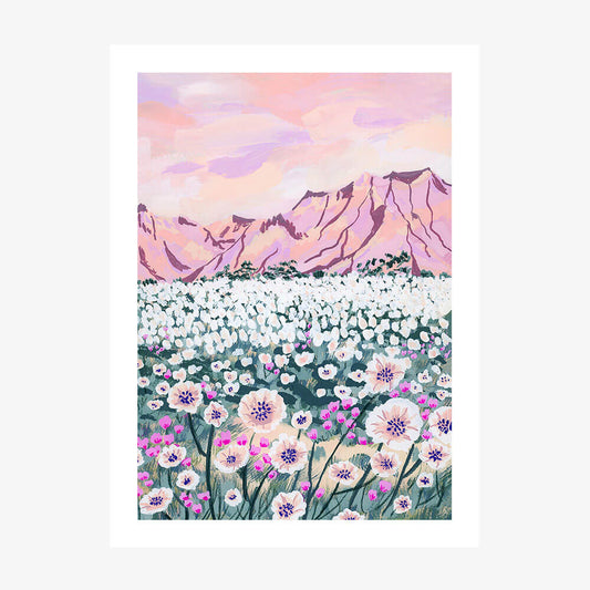 Pink Desert