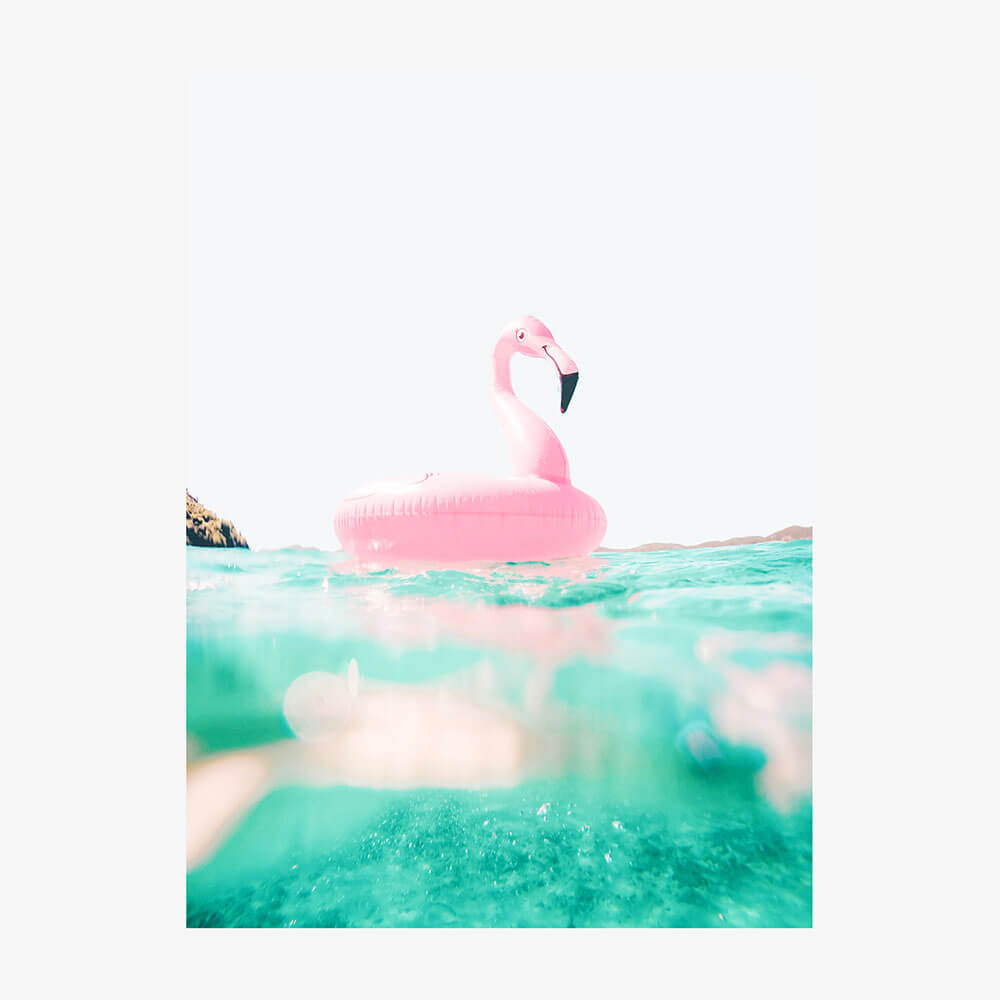 Pink Flamingo
