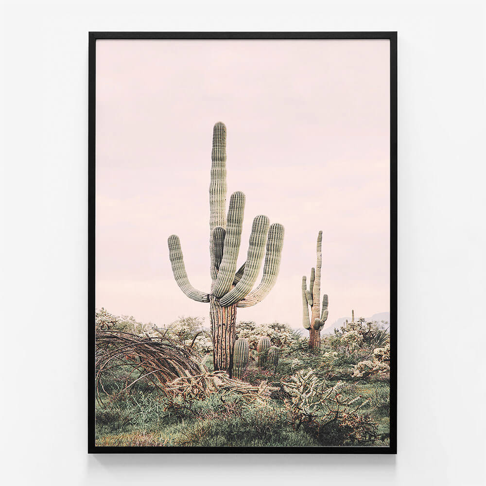 Pink Saguaro