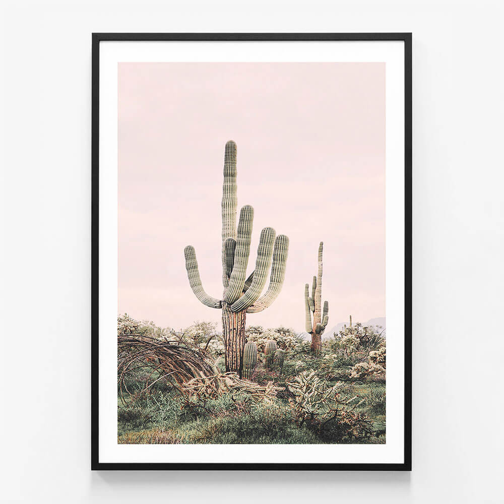 Pink Saguaro