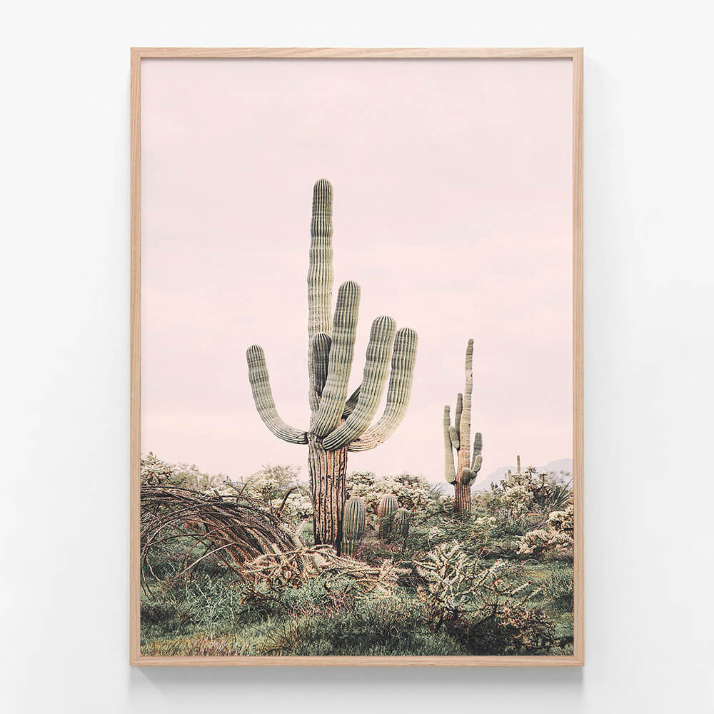 Pink Saguaro