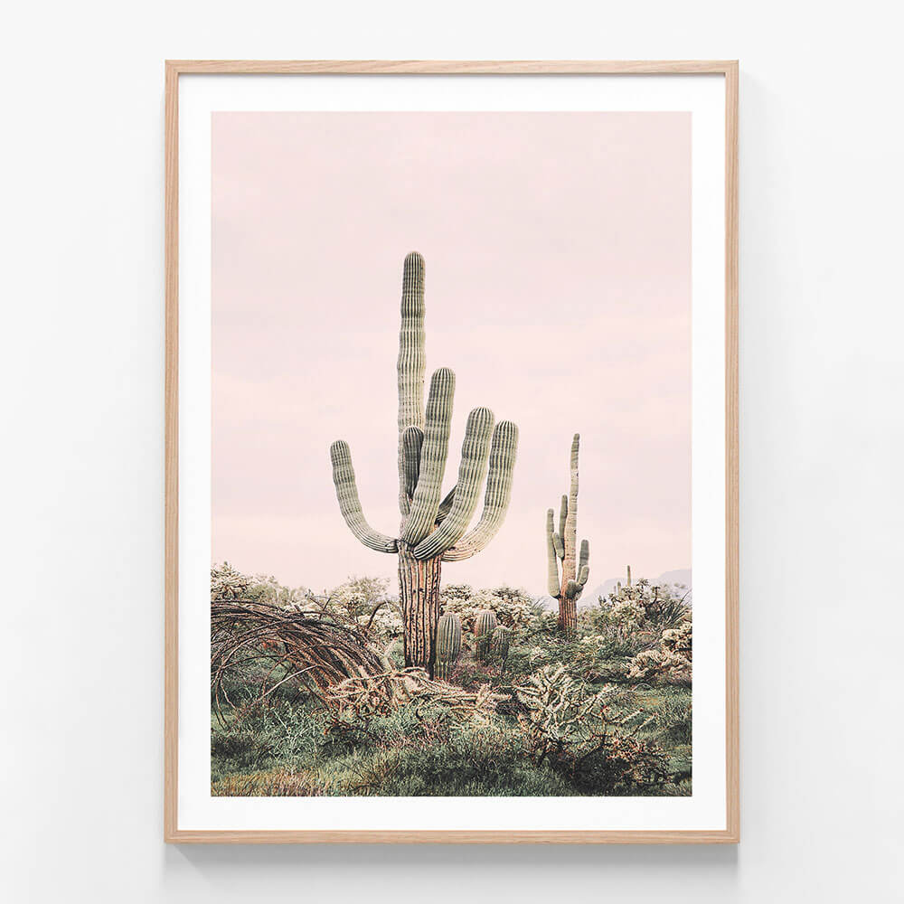 Pink Saguaro