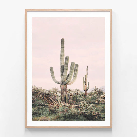 Pink Saguaro